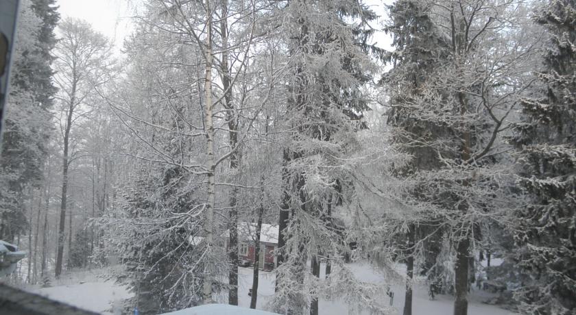 Neitsytniemen Kartano Virasoja Quarto foto