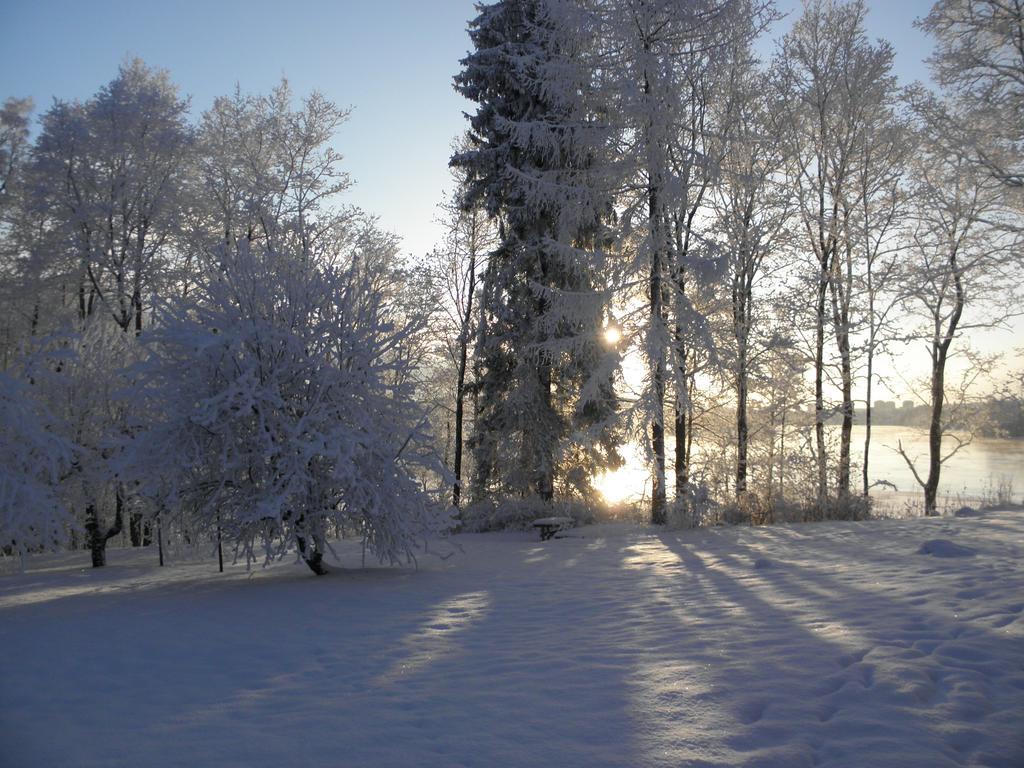 Neitsytniemen Kartano Virasoja Exterior foto